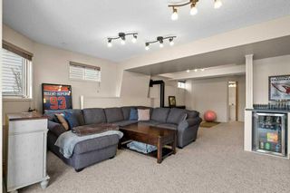 Photo 31: 1555 Meadowbrook Drive SE: Airdrie Detached for sale : MLS®# A2121076