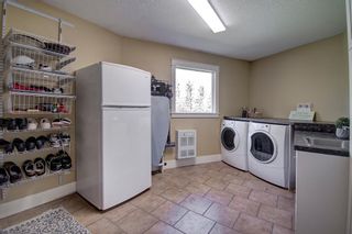Photo 21: 42 Buffalo Rub Place: Airdrie Detached for sale : MLS®# A2048021