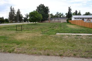 Photo 6: 236 1 Street E: Duchess Residential Land for sale : MLS®# A2103323