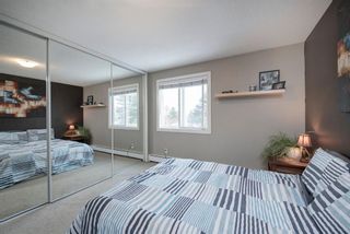 Photo 15: 302 4455C Greenview Drive NE in Calgary: Greenview Apartment for sale : MLS®# A1196742