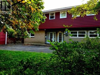 Main Photo: 275 Elizabeth Avenue in St.John's: House for sale : MLS®# 1259975
