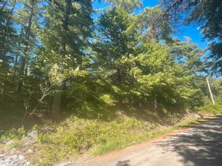 Photo 1: Medway River Road in Riversdale: 406-Queens County Vacant Land for sale (South Shore)  : MLS®# 202216232