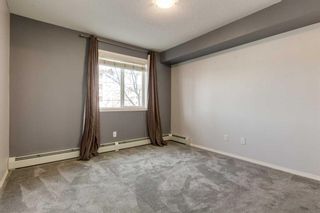 Photo 20: 1210 115 Prestwick Villas SE in Calgary: McKenzie Towne Apartment for sale : MLS®# A2125964