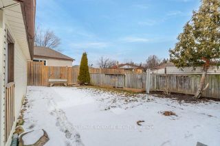 Photo 35: 24 Donley Street in Kitchener: House (Bungalow) for sale : MLS®# X8086740