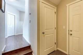 Photo 12: 299 Nolan Hill Drive NW in Calgary: Nolan Hill Detached for sale : MLS®# A2031694