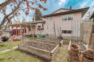 Photo 43: 2516 106 Avenue SW in Calgary: Cedarbrae Detached for sale : MLS®# A2043625