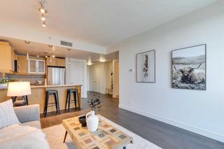 Photo 10: 501 817 15 Avenue SW in Calgary: Beltline Apartment for sale : MLS®# A2125757