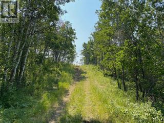 Photo 31: Range Road 23-1 in Rural Lacombe County: Vacant Land for sale : MLS®# A1133348