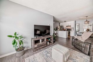 Photo 10: 202 5555 Falsbridge Drive NE in Calgary: Falconridge Apartment for sale : MLS®# A2118008