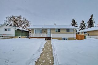 Photo 16: 2620 40 Street SE in Calgary: Forest Lawn Detached for sale : MLS®# A2030771