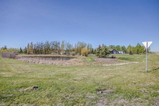 Photo 6: 292191 Butte Hills Drive in Rural Rocky View County: Rural Rocky View MD Detached for sale : MLS®# A2049030