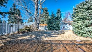 Photo 41: 5908 Dalkeith Hill NW in Calgary: Dalhousie Detached for sale : MLS®# A2019526