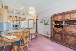 Photo 19: 124 1920 14 Avenue NE in Calgary: Mayland Heights Apartment for sale : MLS®# A2049115
