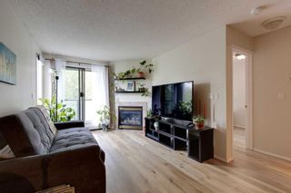 Photo 13: 6 635 Marsh Road NE in Calgary: Bridgeland/Riverside Apartment for sale : MLS®# A2065429