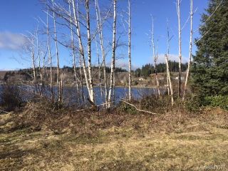 Photo 18: 450 Coal Harbour Rd in Coal Harbour: NI Port Hardy Land for sale (North Island)  : MLS®# 943576