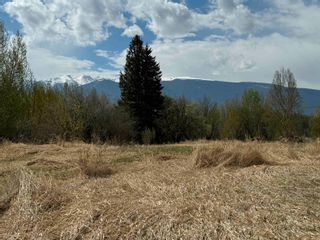 Photo 15: 2880 MOUNTAIN VIEW Road in McBride: McBride - Town Land for sale (Robson Valley)  : MLS®# R2879829