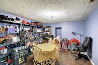 Photo 30: 5104 Norris Road NW in Calgary: North Haven Detached for sale : MLS®# A1224114