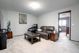 Photo 23: 124 Nolancrest Circle NW in Calgary: Nolan Hill Detached for sale : MLS®# A1207176