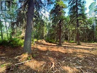 Photo 9: 931 Wolf Trail in Sandy Lake: Vacant Land for sale : MLS®# A2063552