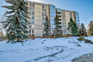 Photo 29: 105, 4554 Valiant Drive NW in Calgary: Varsity Apartment for sale : MLS®# A2033649