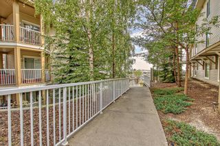 Photo 28: 9105 70 Panamount Drive NW in Calgary: Panorama Hills Apartment for sale : MLS®# A2070467