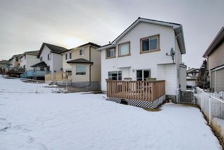 Photo 40: 144 Edgebrook Park NW in Calgary: Edgemont Detached for sale : MLS®# A1066773