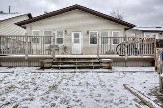 Photo 47: 124 Bedford Circle NE in Calgary: Beddington Heights Detached for sale : MLS®# A1190754