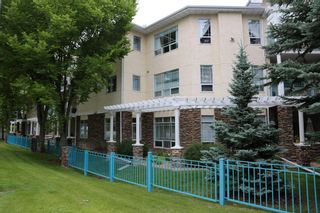 Photo 5: 202 9449 19 Street SW in Calgary: Palliser Apartment for sale : MLS®# A2065927