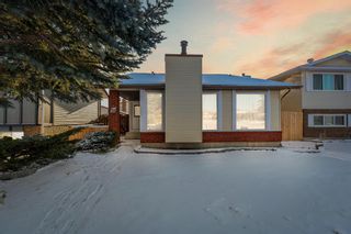 Main Photo: 31 Templeby Drive NE in Calgary: Temple Detached for sale : MLS®# A2014295