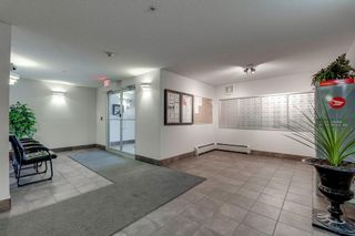 Photo 27: 2119 6224 17 Avenue SE in Calgary: Red Carpet Apartment for sale : MLS®# A2011902