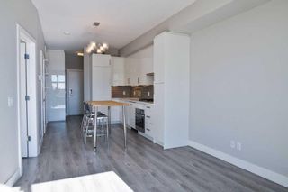 Photo 8: 404 515 4 Avenue NE in Calgary: Bridgeland/Riverside Apartment for sale : MLS®# A2121224