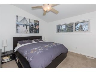 Photo 13: 1134 LAKE CHRISTINA Way SE in Calgary: Lake Bonavista House for sale : MLS®# C4051851