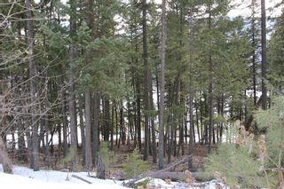 Photo 5: 33 2481 Squilax Anglemont Road in Lee Creek: Land Only for sale : MLS®# 10077079