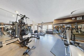 Photo 24: 217 30 Discovery Ridge Close SW in Calgary: Discovery Ridge Apartment for sale : MLS®# A1240266