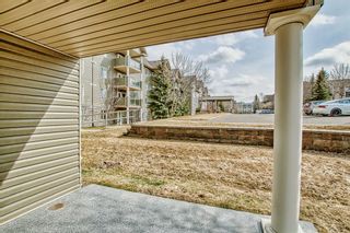 Photo 12: - 3101 Millrise Point SW in Calgary: Millrise Apartment for sale : MLS®# A2041825