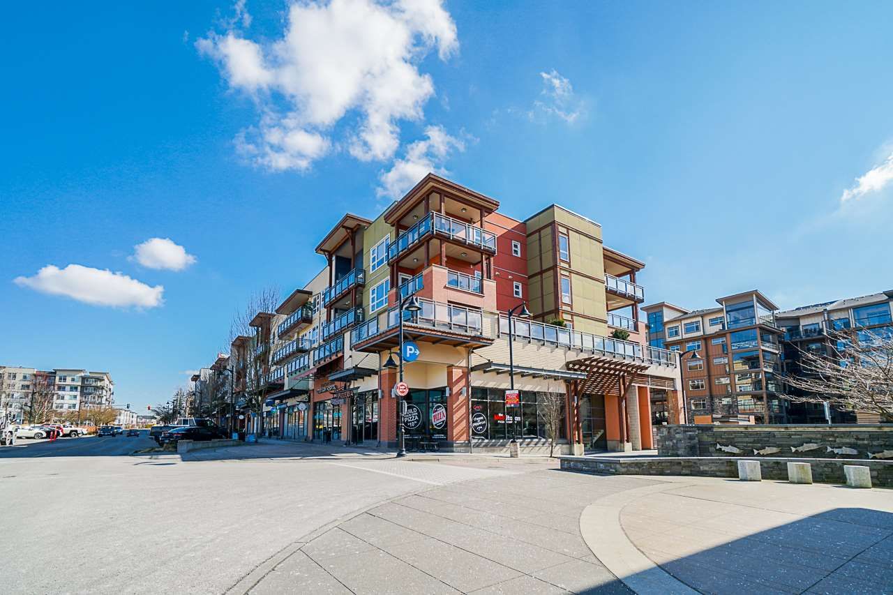 Main Photo: 303 20728 WILLOUGHBY TOWN CENTRE DRIVE in Langley: Willoughby Heights Condo for sale : MLS®# R2443389