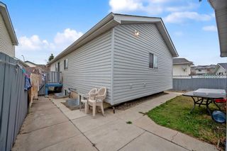 Photo 43: 117 Martinpark Way NE in Calgary: Martindale Detached for sale : MLS®# A2126828