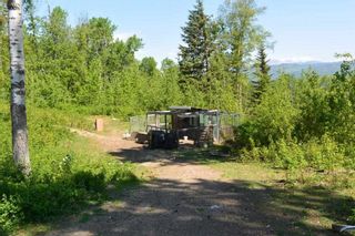Photo 4: 5662 MORRIS Road in Smithers: Smithers - Rural House for sale (Smithers And Area (Zone 54))  : MLS®# R2255055