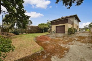 Photo 5: 2536 ASQUITH St in Victoria: Vi Oaklands House for sale : MLS®# 883783