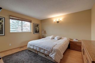 Photo 17: 56 Riverstone Crescent SE in Calgary: Riverbend Detached for sale : MLS®# A1200982