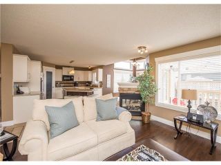 Photo 9: 34 CHAPALA Court SE in Calgary: Chaparral House for sale : MLS®# C4108128