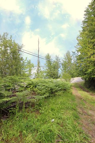 Photo 22: 3462 Eagle Bay Road in Blind Bay: Land Only for sale : MLS®# 10212583