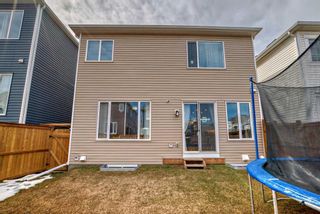 Photo 43: 153 Carrington Close NW in Calgary: Carrington Detached for sale : MLS®# A2121196