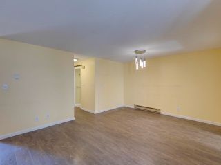 Photo 10: 34 7540 ABERCROMBIE Drive in Richmond: Brighouse South Townhouse for sale in "Newport Terrace" : MLS®# R2721288