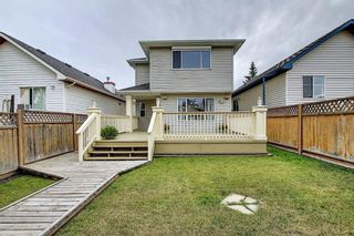 Photo 44: 310 BRIDLEWOOD Court SW in Calgary: Bridlewood Detached for sale : MLS®# A1035871