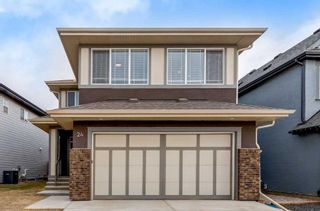 Main Photo: 24 Masters Terrace SE in Calgary: Mahogany Detached for sale : MLS®# A2117787