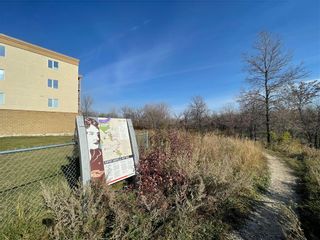 Photo 9: 439 Youville Rue in Winnipeg: St Boniface Residential for sale (2A)  : MLS®# 202225355