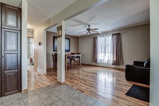 Photo 3: 126 Dovercliffe Way SE in Calgary: Dover Detached for sale : MLS®# A1082276