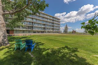 Photo 5: 602 3204 Rideau Place SW in Calgary: Rideau Park Apartment for sale : MLS®# A2053068