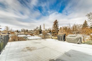 Photo 28: 91 Cumberland Drive NW in Calgary: Cambrian Heights Detached for sale : MLS®# A2020911